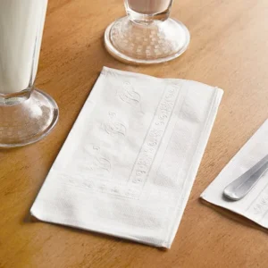 White 2-Ply Dinner Napkin - 3000/Case/DN3000
