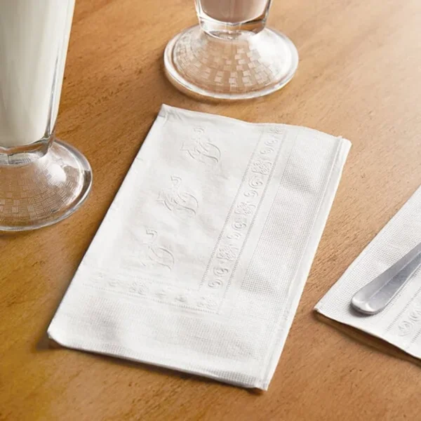 White 2-Ply Dinner Napkin - 3000/Case/DN3000