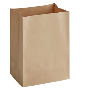 Brown Kraft Paper Bag Medium 200pc/case/PD1653B