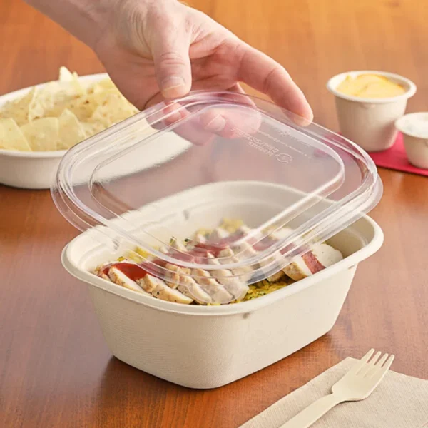 Rectangular--Microwavable PET-LID FOR MW/300/CASE/MW-07L