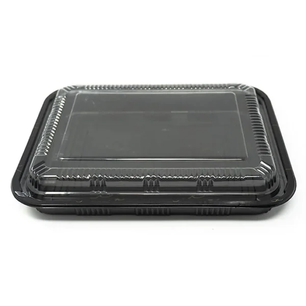 B-Rectangular Plastic Sushi Tray 200/case/830