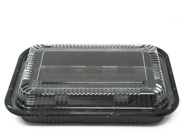 B-Rectangular Plastic Sushi Tray 400/case/815